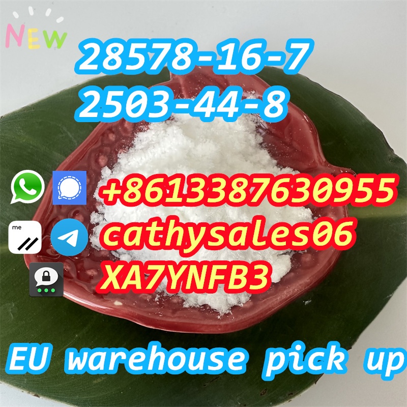 fast delivery powder to oil CAS 28578-16-7 liquid via secure line รูปที่ 4