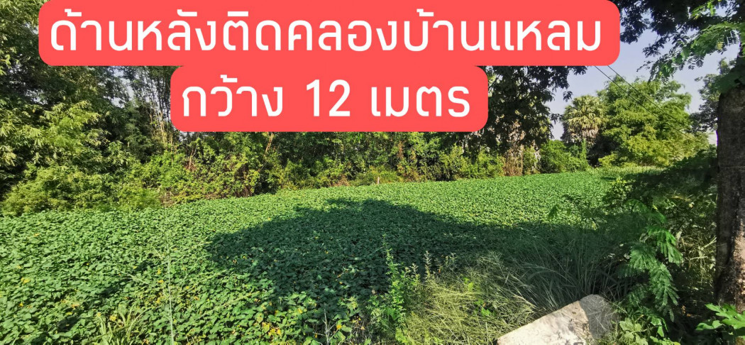 ขาย ที่ดิน ถมแล้ว 1 ไร่ 2 งาน 96 ตร.วา สี่เหลี่ยมผืนผ้า ติดถนน รูปที่ 10