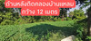 รูปย่อ ขาย ที่ดิน ถมแล้ว 1 ไร่ 2 งาน 96 ตร.วา สี่เหลี่ยมผืนผ้า ติดถนน รูปที่10