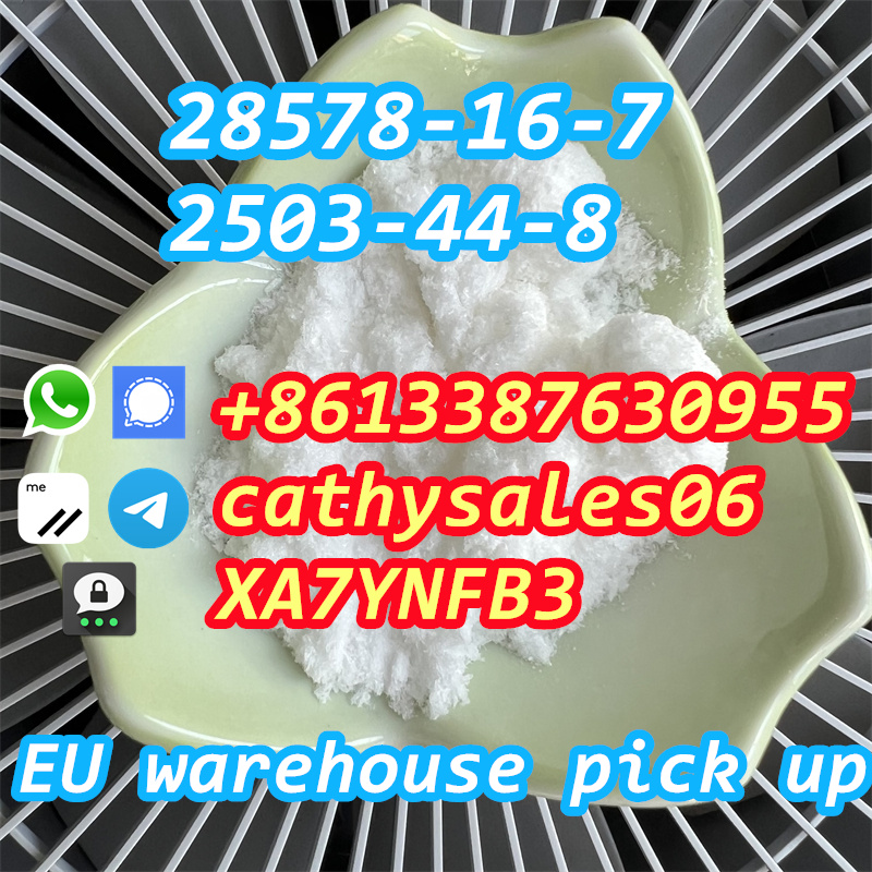 fast delivery powder to oil CAS 28578-16-7 liquid via secure line รูปที่ 8