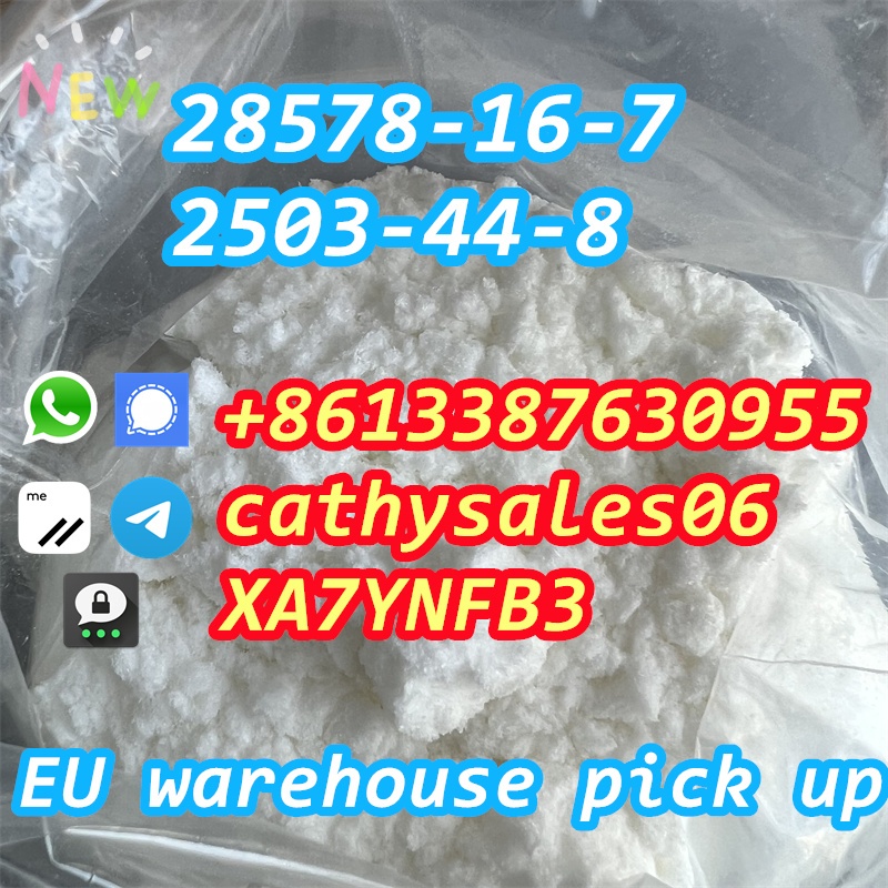 fast delivery powder to oil CAS 28578-16-7 liquid via secure line รูปที่ 1