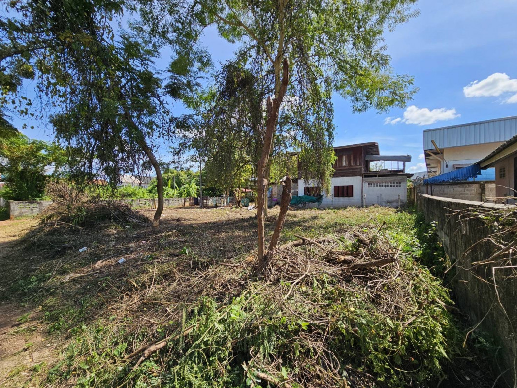ขาย ที่ดิน ด้านหลังโรงเรียนปทุมทพวิทยาคาร 1 งาน 7.9 ตร.วา รูปที่ 5