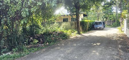ขาย ที่ดิน หมู่บ้านพิงค์พยอม 89 ตร.วา วิวดอยสุเทพ เทศบาลนครเชียงใหม่ รูปที่ 8