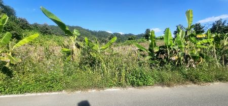ขาย ที่ดิน เนินเขา วิวสวย ใกล้ทางหลวง เชียงใหม่-ปาย 17 ไร่ 2 งาน 50 ตร.วา อ. แม่แตง เชียงใหม่ รูปที่ 7
