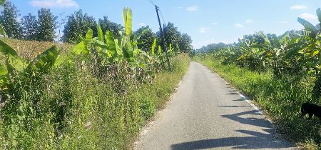 ขาย ที่ดิน เนินเขา วิวสวย ใกล้ทางหลวง เชียงใหม่-ปาย 17 ไร่ 2 งาน 50 ตร.วา อ. แม่แตง เชียงใหม่ รูปที่ 11