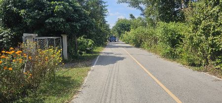ขาย ที่ดิน  2 ไร่ 27 ตร.วา ต.ลวงเหนือ ดอยสะเก็ด เชียงใหม่ รูปที่ 6