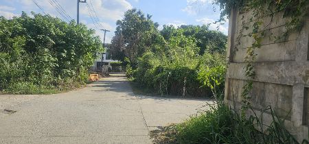 ขาย ที่ดิน หมู่บ้านพิงค์พยอม 89 ตร.วา วิวดอยสุเทพ เทศบาลนครเชียงใหม่ รูปที่ 10