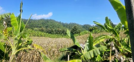 ขาย ที่ดิน เนินเขา วิวสวย ใกล้ทางหลวง เชียงใหม่-ปาย 17 ไร่ 2 งาน 50 ตร.วา อ. แม่แตง เชียงใหม่ รูปที่ 9