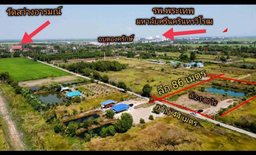 ขายที่ดินศีรษะกระบือ 2 ไร่ ถมแล้วเหมาะปลูกบ้านสวน ใกล้มศว รร.สาธิต 5.9 กม. อ.องครักษ์ นครนายก รูปที่ 8