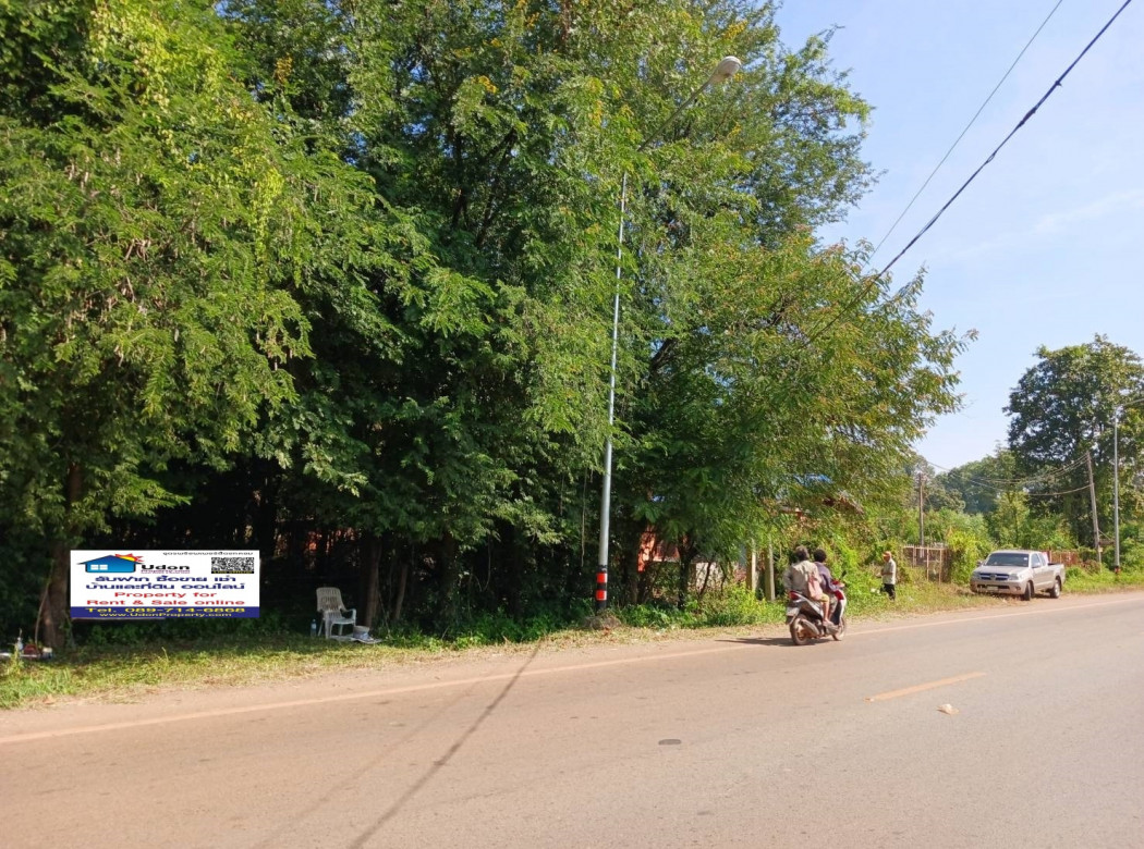 ขาย ที่ดิน พร้อมสวนป่าประดู่ 13 ไร่ 1 งาน 62.5 ตร.วา รูปที่ 2