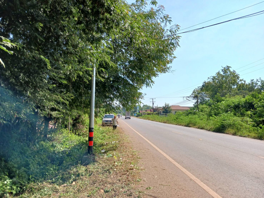 ขาย ที่ดิน พร้อมสวนป่าประดู่ 13 ไร่ 1 งาน 62.5 ตร.วา รูปที่ 4