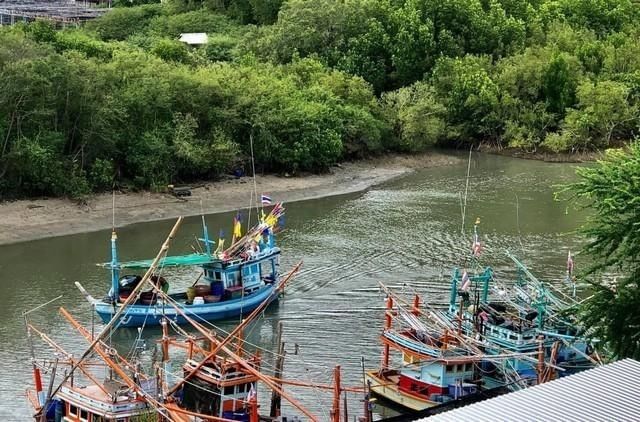 ขายที่ดิน 83 ตร.ว. ย่านคลองวาน ประจวบคีรีขันธ์ พร้อมบ้านริมทะเล เดินลงหาดได้เลย  วิวหันหน้าออกทะเล รูปที่ 1