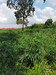 รูปย่อ ขาย ที่ดิน พัทยาใต้ บางละมุง ซ.บุญสัมพันธ์ 1 ชลบุรี 10-1-29 ไร่ รูปที่5