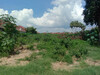 รูปย่อ ขาย ที่ดิน พัทยาใต้ บางละมุง ซ.บุญสัมพันธ์ 1 ชลบุรี 10-1-29 ไร่ รูปที่4
