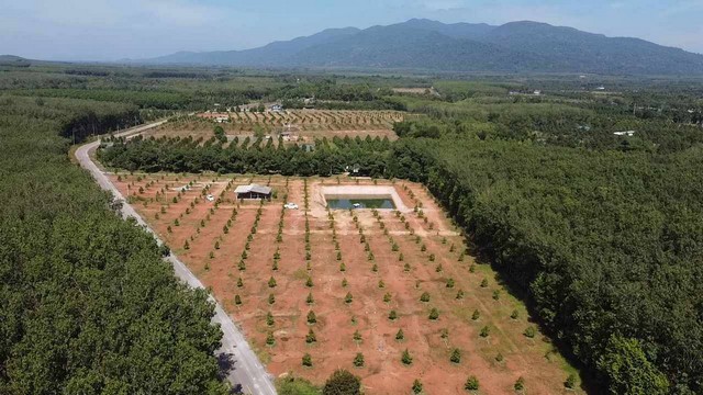 ขายสวนทุเรียนพร้อมบ้านสภาพใหม่ติดถนนลาดยาง วิวเขาเขตเขาชะเมา จ.ระยอง รูปที่ 1