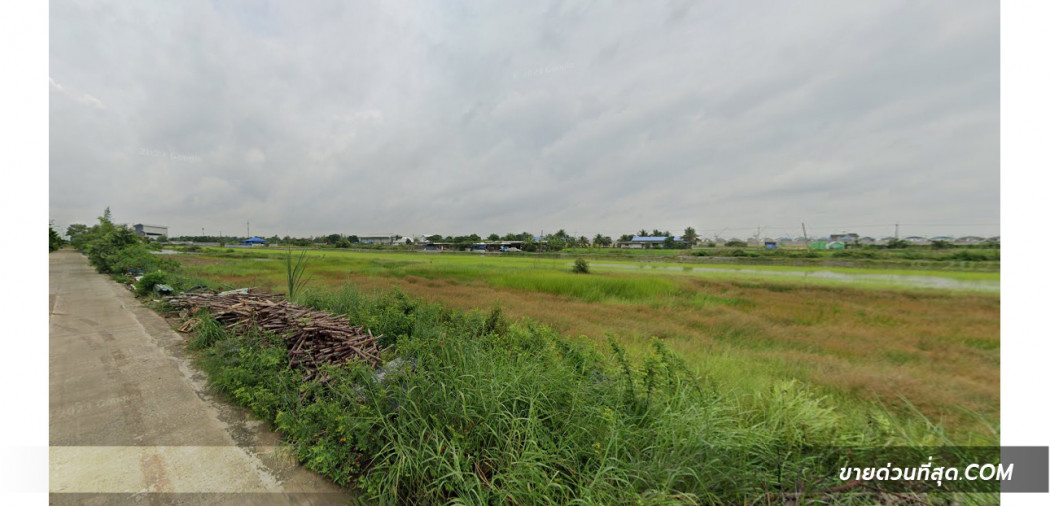 ขายที่ดินติดถนน ซ.ลำลูกกา 97 (บึงคำพร้อย8) เนื้อที่ 2 ไร่ รูปที่ 4