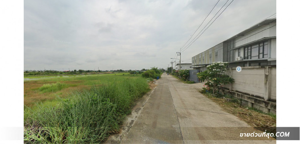 ขายที่ดินติดถนน ซ.ลำลูกกา 97 (บึงคำพร้อย8) เนื้อที่ 2 ไร่ รูปที่ 5