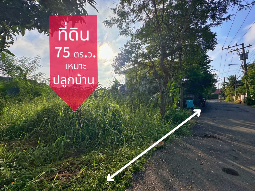 ขาย ที่ดิน อยู่ต้นซอย ที่ดิน ซอยศาลาธรรมสพน์8 75 ตร.วา เหมาะปลูกบ้าน รูปที่ 4