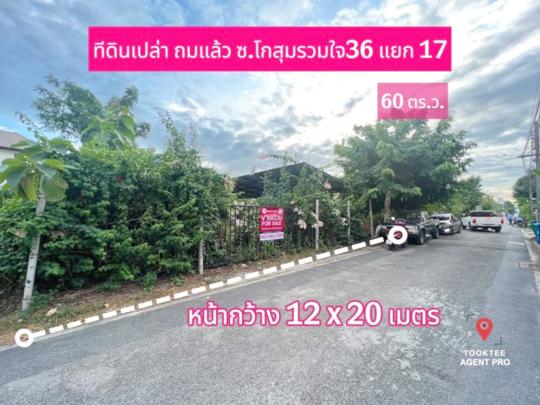 ขาย ที่ดิน ขายที่ดินดอนเมือง ซ.โกสุมรวมใจ  60 ตร.วา รูปที่ 1