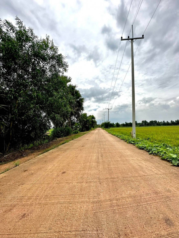 ขายที่ดินหนองยาว 17 ไร่ ติดถนนคอนกรีต ใกล้ถนนเส้น 3002 - 1.7 กม. พนมสารคาม ฉะเชิงเทรา รูปที่ 8