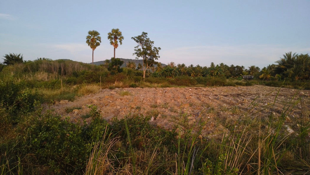 ขาย ที่ดิน - 4 ไร่ 52.6 ตร.วา หน้ากว้าง x ยาว 41 x 206 เมตร รูปที่ 3