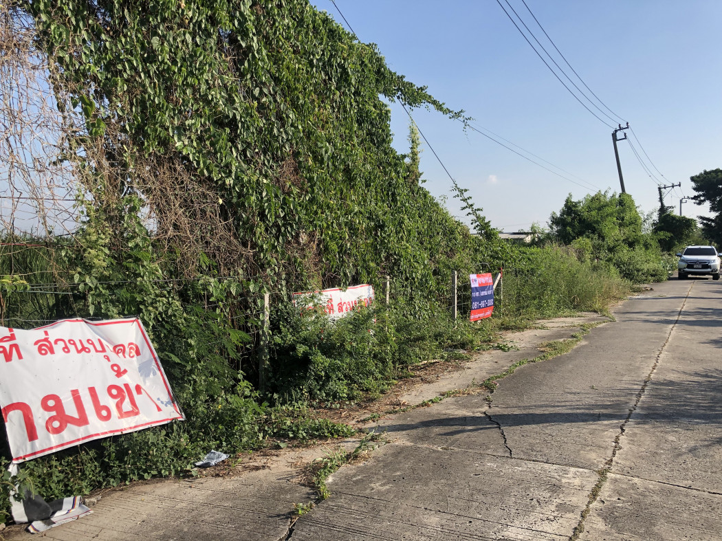 ขาย ที่ดิน เลียบวารี 35 (ซอยธนบัตรชัย)  - 1 งาน เนื้อที่ 100 ตารางวา แบ่งขายได้ รูปที่ 5