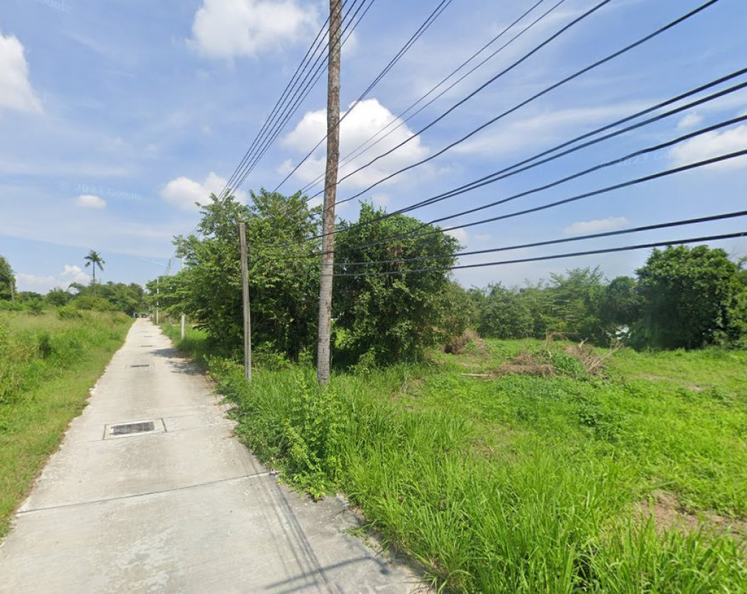 ขายที่ดินใจกลางเมืองนาป่า 200 ตรว. ซ.เพนียงพัฒนา 2 ติดถนนคอนกรีตที่ดินถมสูงเท่าถนน ใกล้ถ.บายพาสเลี่ยงเมือง361 - 1 กม. เมืองชลบุรี รูปที่ 6