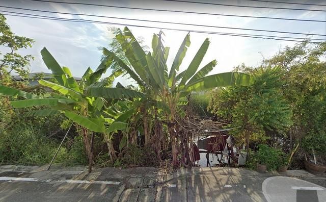 POR3608ขายที่ดิน 200 ตร.ว.ถนนติวานนท์ รังสิตปทุมธานี ใกล้รพ.กรุงสยามเซ็นต์คาร์ลอส  รูปที่ 1