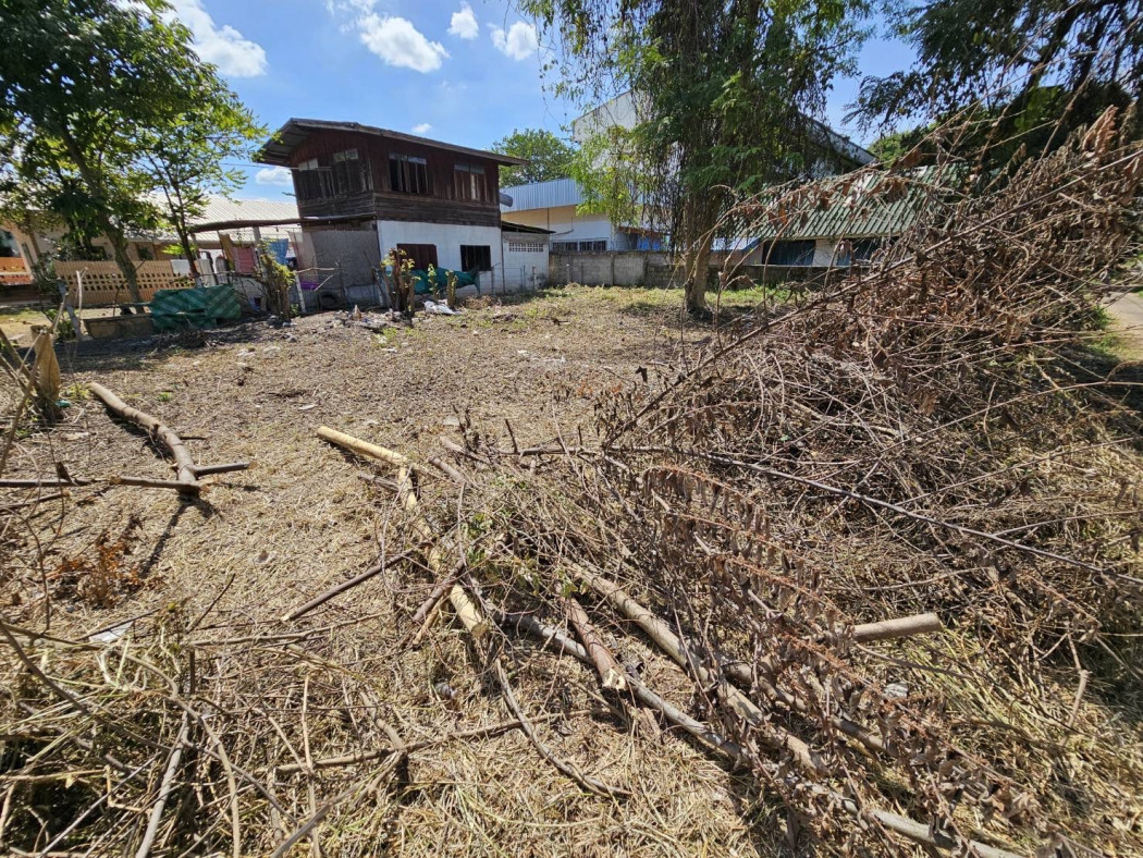 ขาย ที่ดิน ด้านหลังโรงเรียนปทุมทพวิทยาคาร 1 งาน 7.9 ตร.วา รูปที่ 8