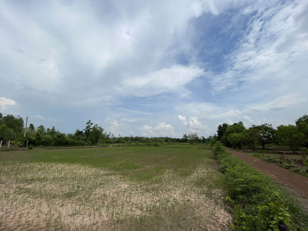 ขาย ที่ดิน แปลงขนาดใหญ่ ที่ดินเปล่า 6 ไร่ 2 งาน อยู่ใกล้ชุมชน รูปที่ 2