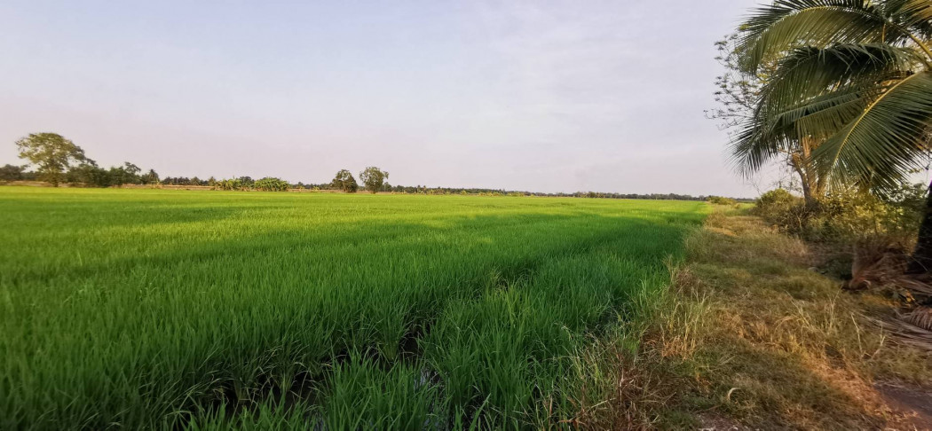 ขาย ที่ดิน หนองเสือ 511 ไร่ 2 งาน 28 ตร.วา เหมาะทำ โครงการหมู่บ้าน สวนเกษตร รูปที่ 6
