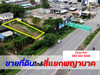 รูปย่อ ขาย ที่ดิน ใจกลางเมืองหนองคาย เหมาะลงทุนทำธุรกิจ ID-13494 รูปที่2