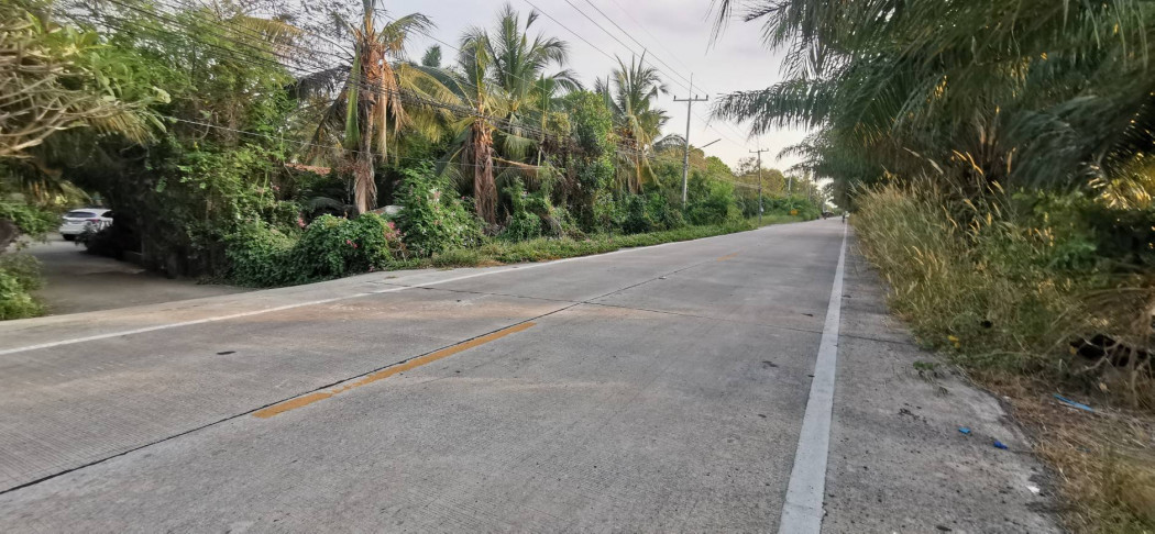 ขาย ที่ดิน หนองเสือ 511 ไร่ 2 งาน 28 ตร.วา เหมาะทำ โครงการหมู่บ้าน สวนเกษตร รูปที่ 4