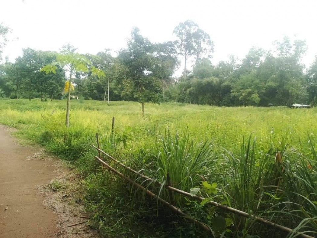ขายที่ดินประจันตคาม 4 ไร่ ใกล้อบต.คำโตนด - 1 กม. ติดถนนคอนกรีต หลังวัดสามัคคีธรรม ต.คำโตนด ปราจีนบุรี รูปที่ 2