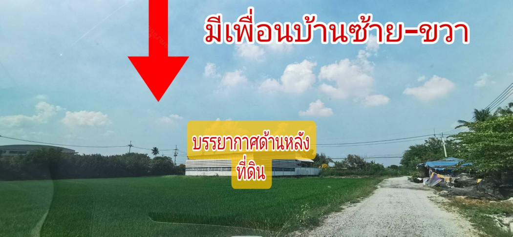 ขาย ที่ดิน นครปฐมคลองโยง 2 งาน ซ.สหพร  คลอง​โยง​ นครปฐม​ รูปที่ 6