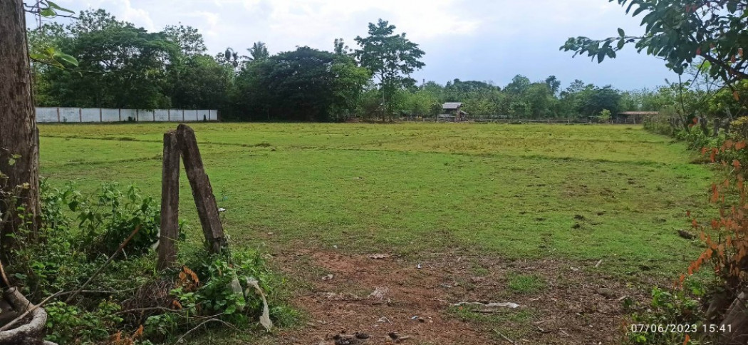 13489 ขายที่ดิน ติดถนนคลองชลประทาน บ้านเหมืองหม้อ ติดถนนทางหลวงชนบท พร.3024 กม.6 5 ไร่ 2 งาน 22 ตร.วา รูปที่ 3