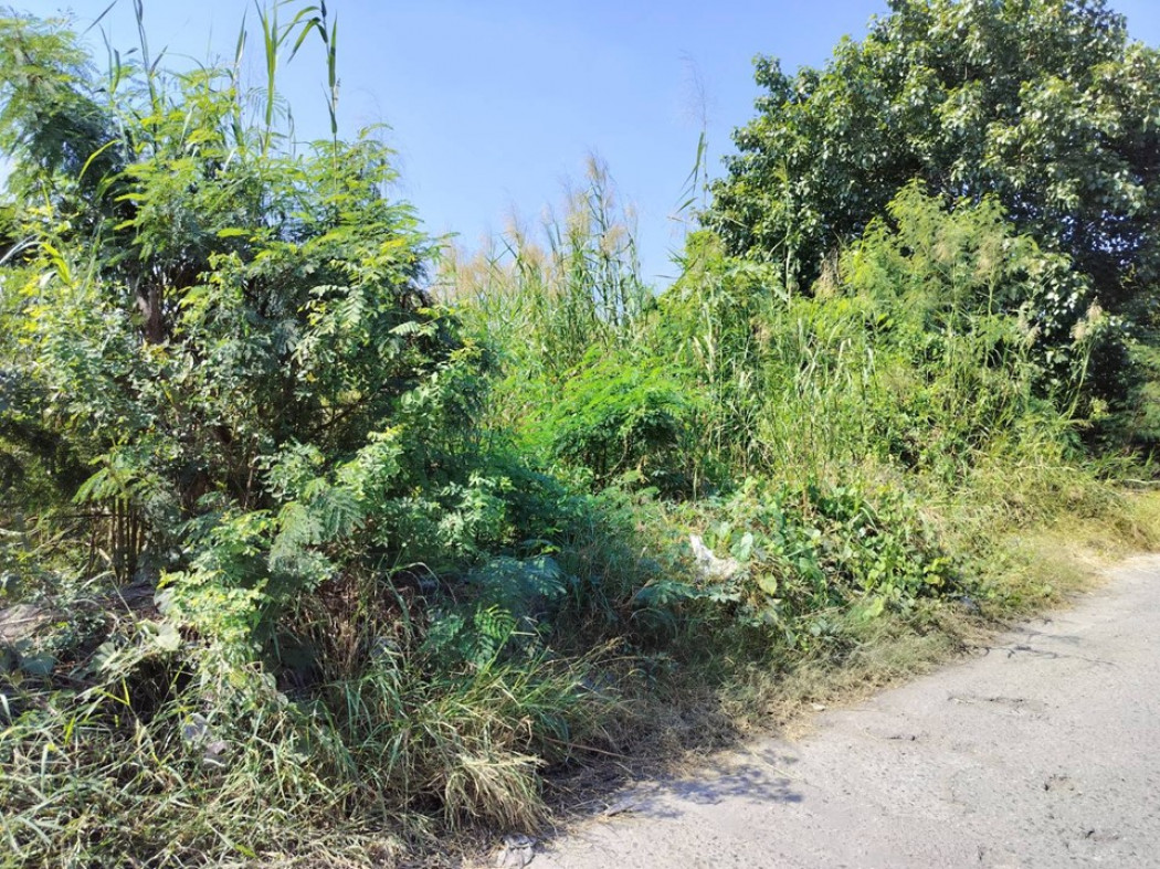 ขาย ที่ดิน เทศบาลบางปู 50 ขนาด 5 ไร่ 76 ตร.วา แปลงสวยสี่เหลี่ยม อยู่ในเขตอุตสาหกรรม เหมาะสร้างโรงงาน รูปที่ 5