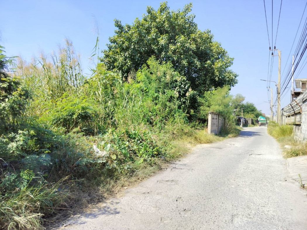 ขาย ที่ดิน เทศบาลบางปู 50 ขนาด 5 ไร่ 76 ตร.วา แปลงสวยสี่เหลี่ยม อยู่ในเขตอุตสาหกรรม เหมาะสร้างโรงงาน รูปที่ 4