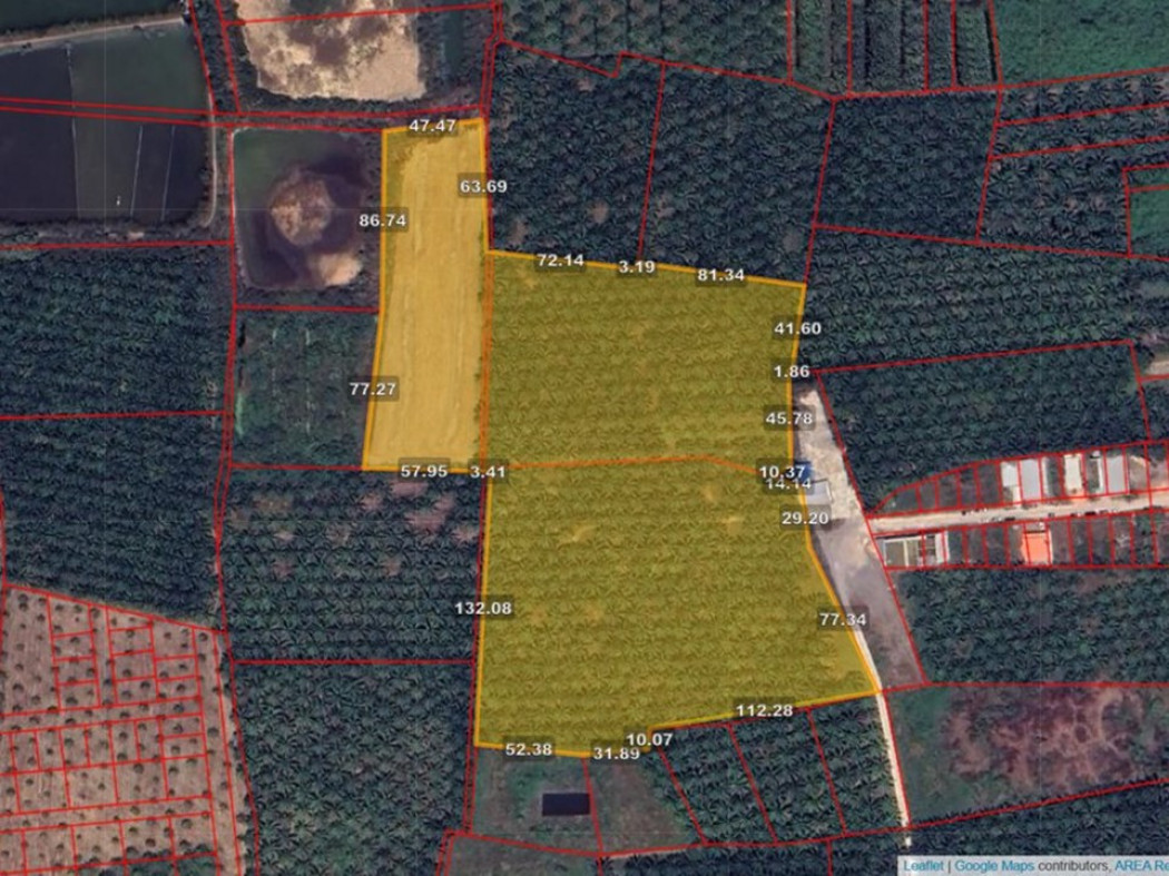 ขาย ที่ดิน กาญจนดิษฐ์ สี่แยกพ่วง 27 ไร่ 2 งาน 57 ตร.วา สวนปาล์มพร้อมขาย เหมาะทำโครงการจัดสรร รูปที่ 2