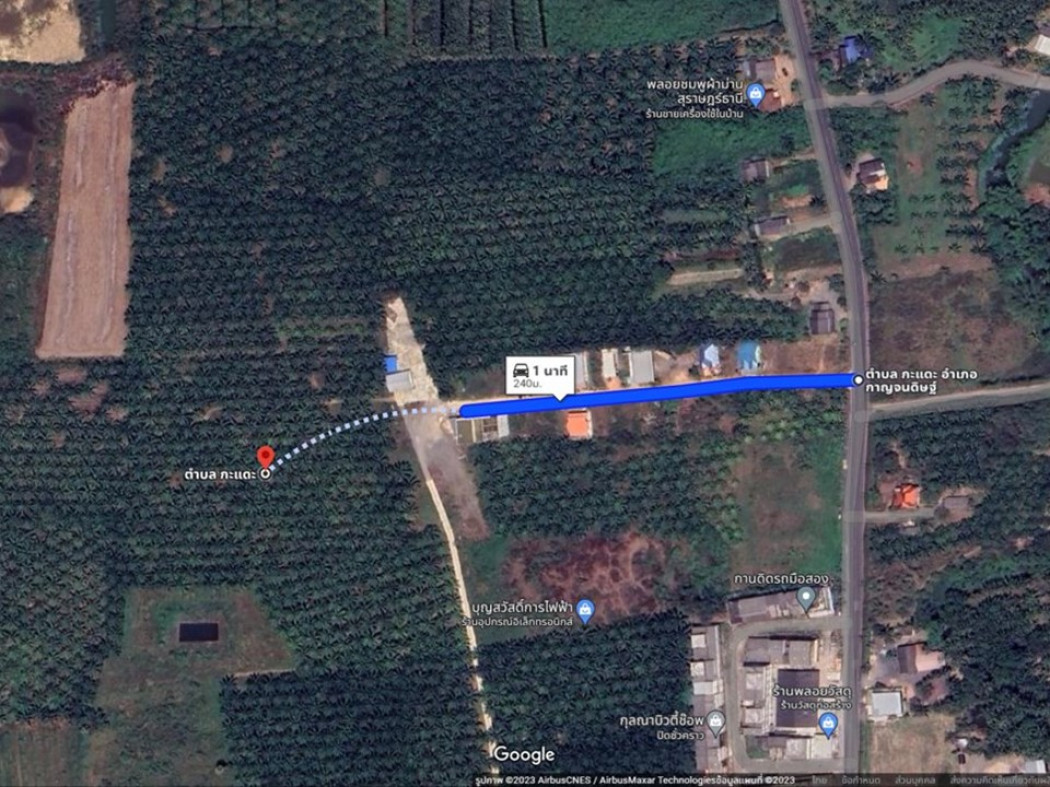ขาย ที่ดิน กาญจนดิษฐ์ สี่แยกพ่วง 27 ไร่ 2 งาน 57 ตร.วา สวนปาล์มพร้อมขาย เหมาะทำโครงการจัดสรร รูปที่ 3