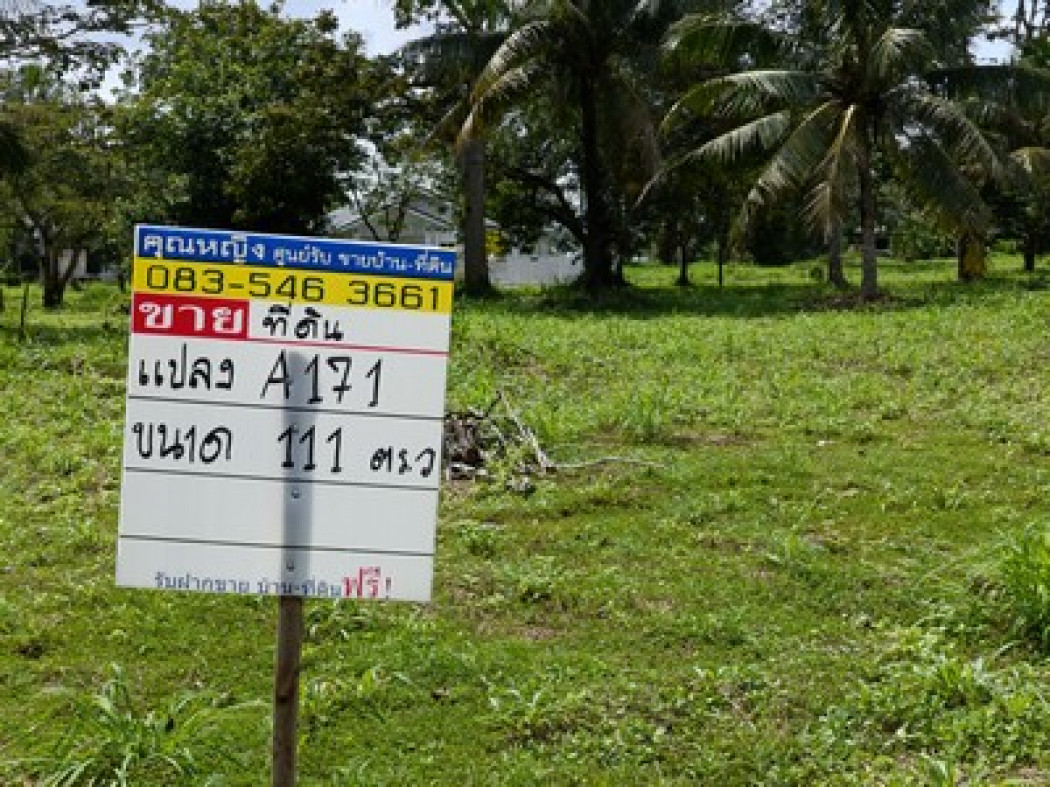 ขายที่ดินจัดสรร 111 ตร.ว. โครงการบ้านเนินน้ำ ตะเคียนเตี้ย พร้อมวิวภูเขา - ติดอ่างเก็บน้ำ ก่อนถึงพัทยาเพียง 15 นาที รูปที่ 3