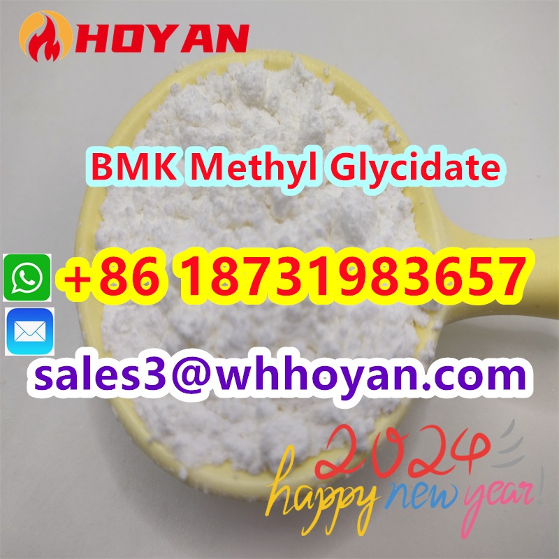 CAS 80532-66-7 BMK Methyl Glycidate powder supplier factory best price รูปที่ 1