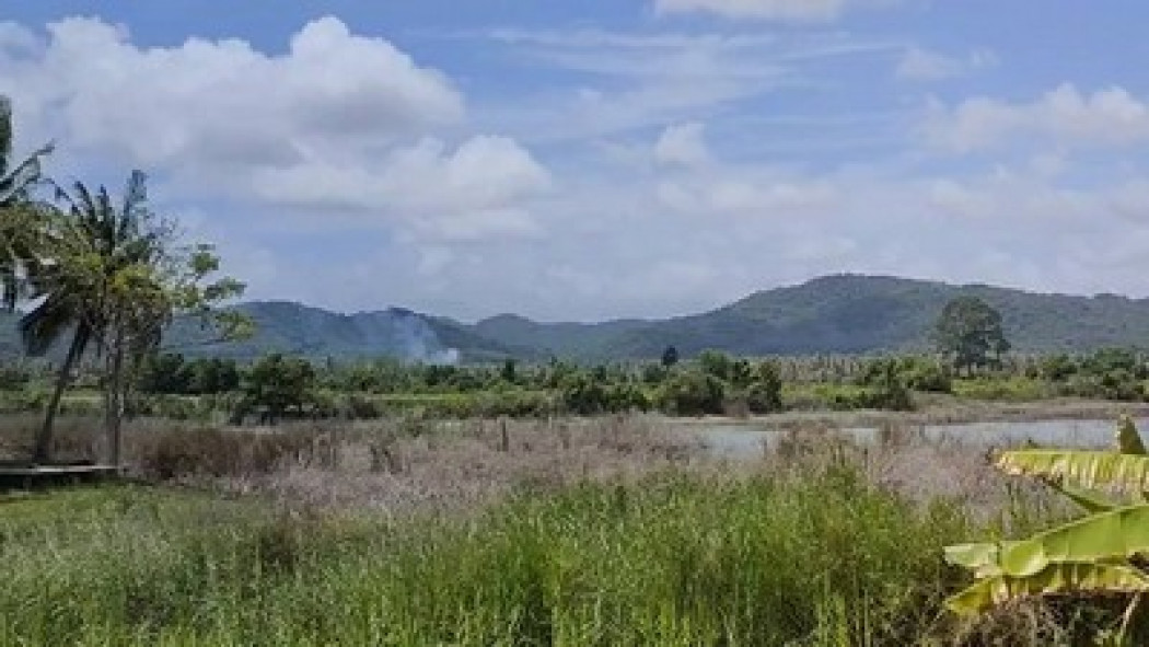 ขายที่ดินจัดสรร 111 ตร.ว. โครงการบ้านเนินน้ำ ตะเคียนเตี้ย พร้อมวิวภูเขา - ติดอ่างเก็บน้ำ ก่อนถึงพัทยาเพียง 15 นาที รูปที่ 5