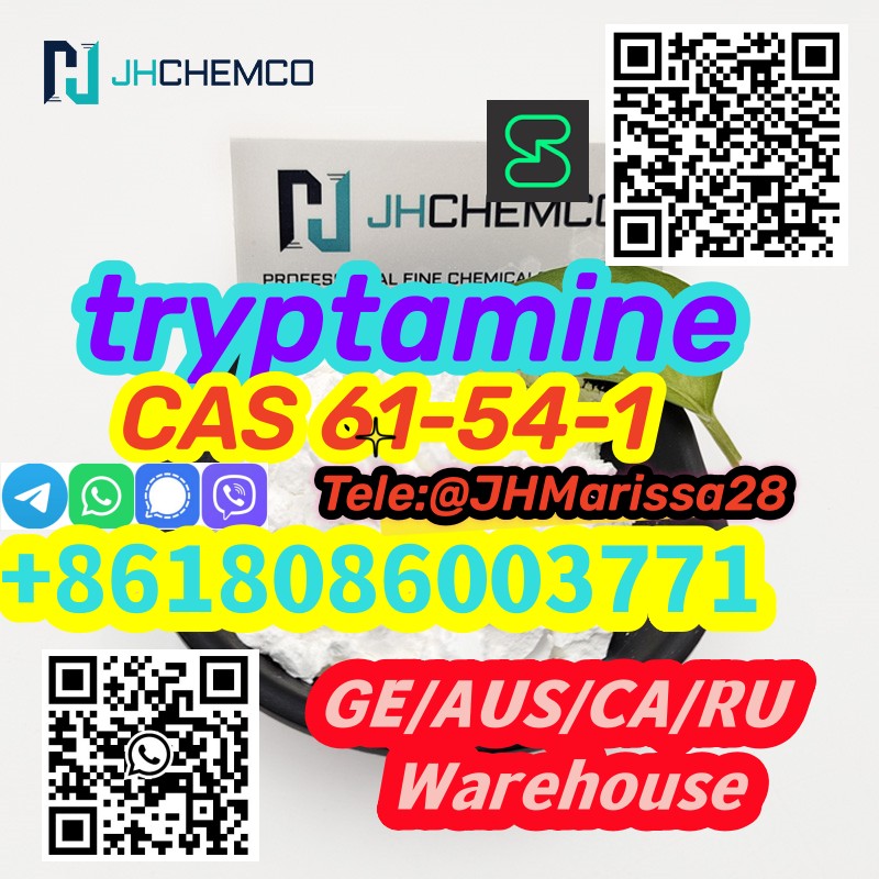 Hot Sale CAS 61-54-1  tryptamine Whatsapp+8618086003771		 รูปที่ 1