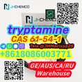 Hot Sale CAS 61-54-1  tryptamine Whatsapp+8618086003771		