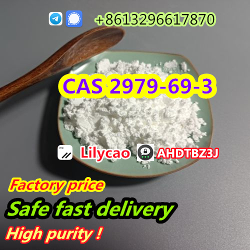 Supply factory Tianeptine CAS 66981-73-5 safe delivery door to door Telegram/Signal:+86 13296617870  รูปที่ 1