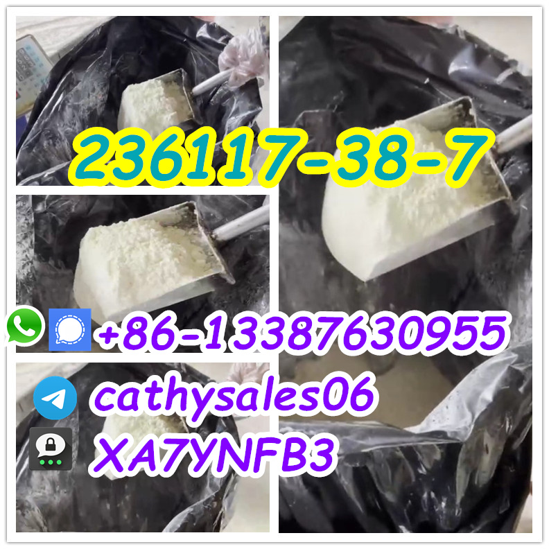 CAS 236117-38-7 2-Iodo-1-P-Tolyl-Propan-1-One 236117-38-7 Cas 236117-38-7 รูปที่ 7