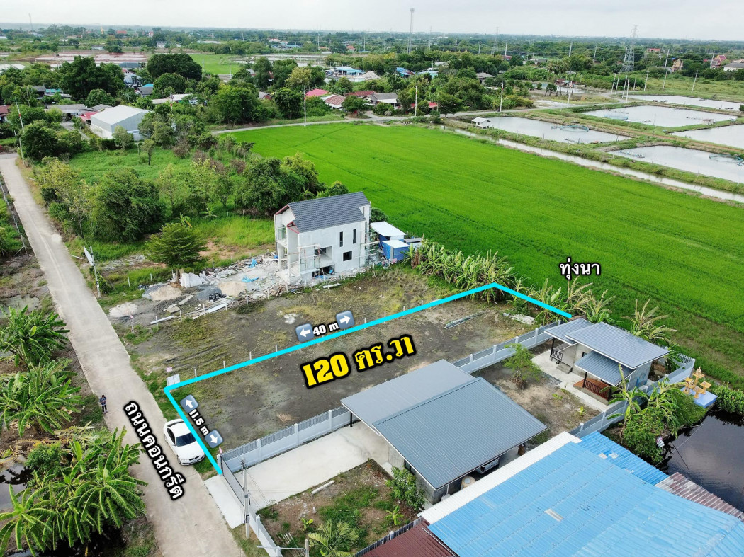 ขายที่ดินแปดริ้ว 120 ตรว. ติดถนนคอนกรีต ใกล้โรบินสันฉะเชิงเทรา 5.3 กม. บางกระไห เมือง ฉะเชิงเทรา รูปที่ 3