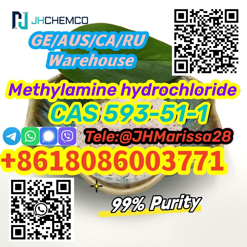 Top Sale CAS 593-51-1 Methylamine hydrochloride   Threema: Y8F3Z5CH		 รูปที่ 1