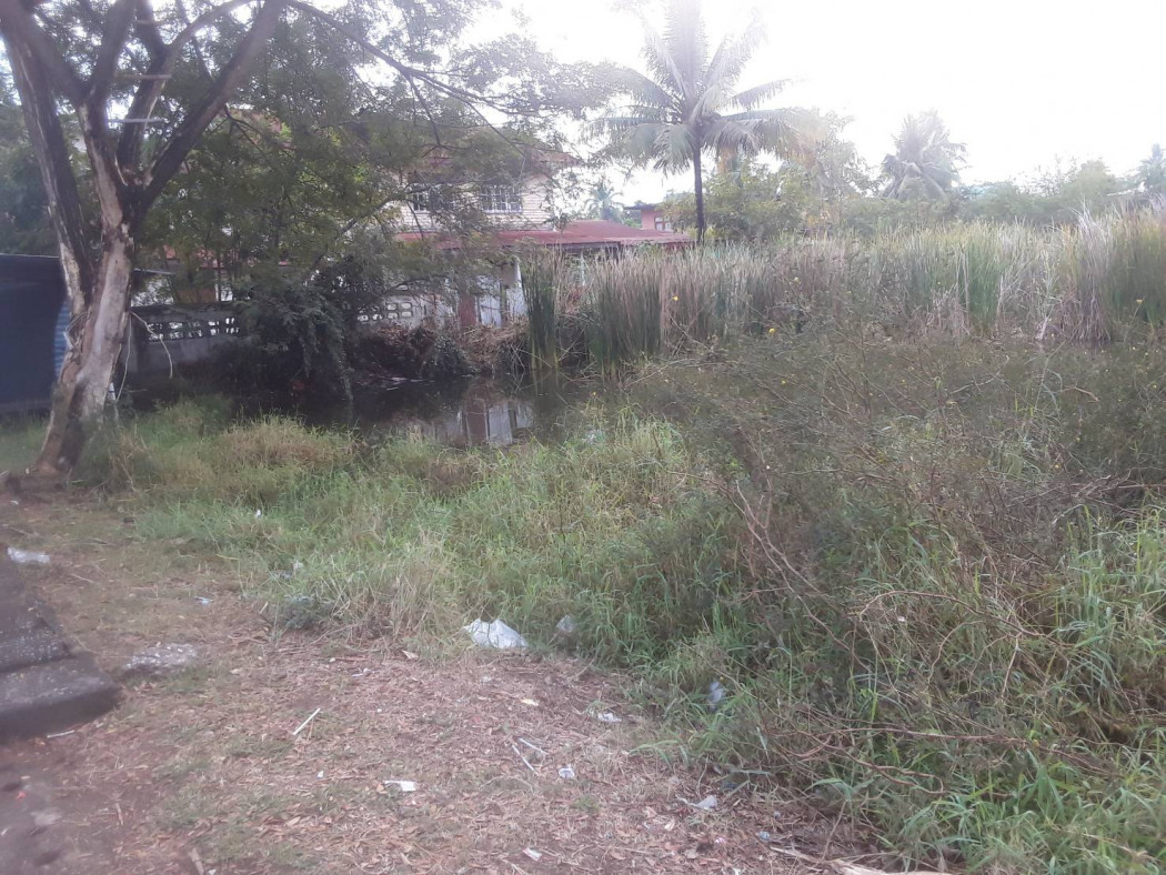 ขาย ที่ดิน ที่ดินเปล่า 3 งาน 48.5 ตร.วา อ.กุมภวาปี จ.อุดรธานี รูปที่ 4
